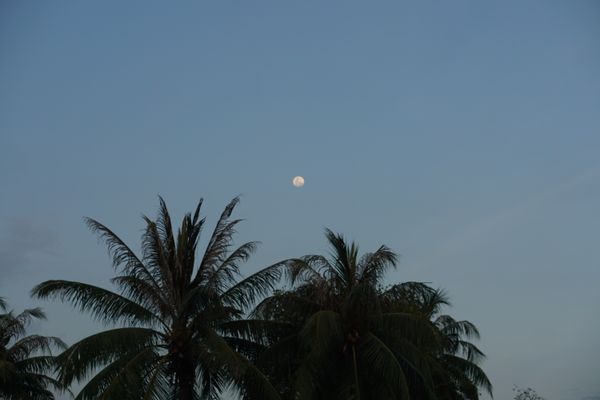sống đời lãng phí